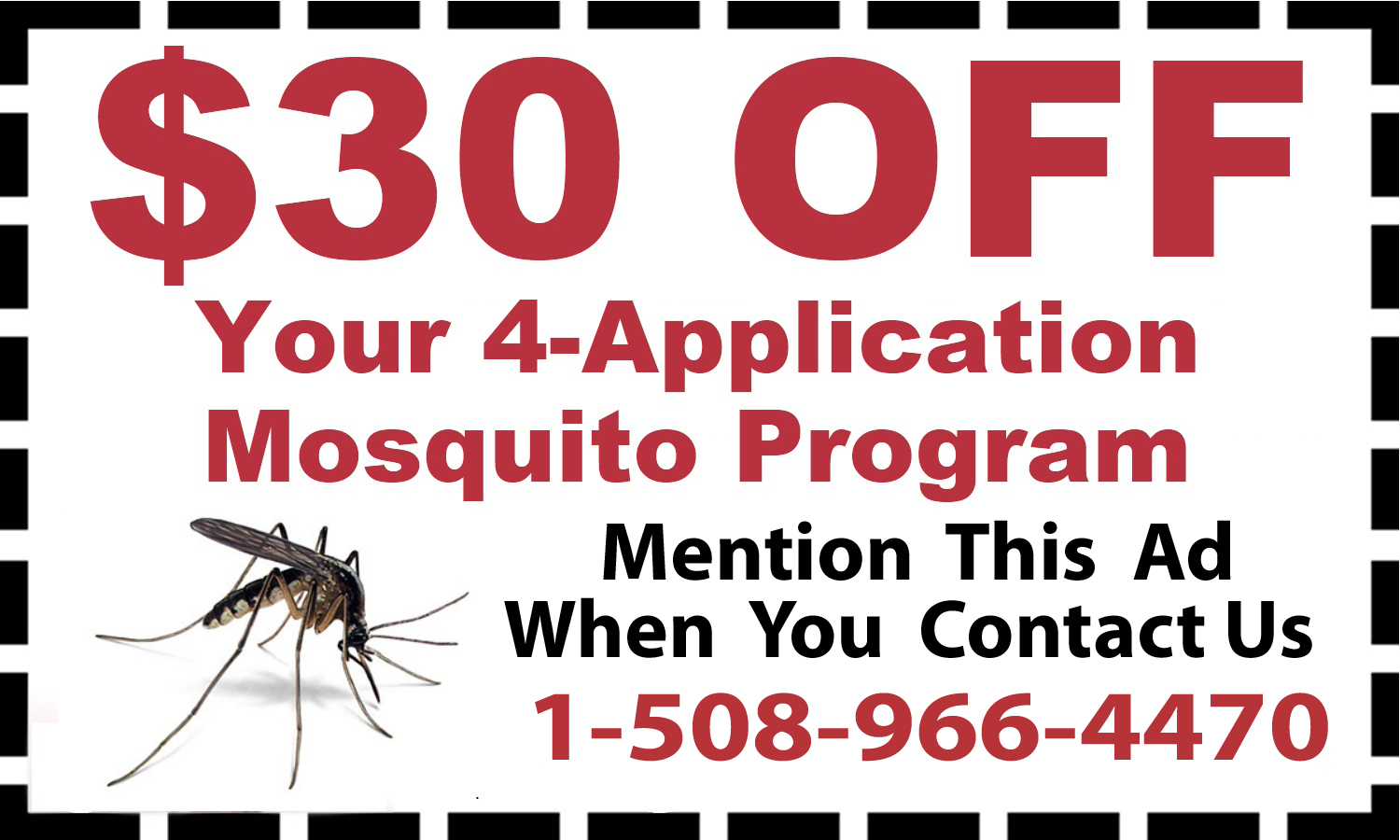 Bee & Mosquito Control & Extermination - Blackstone, MA ...